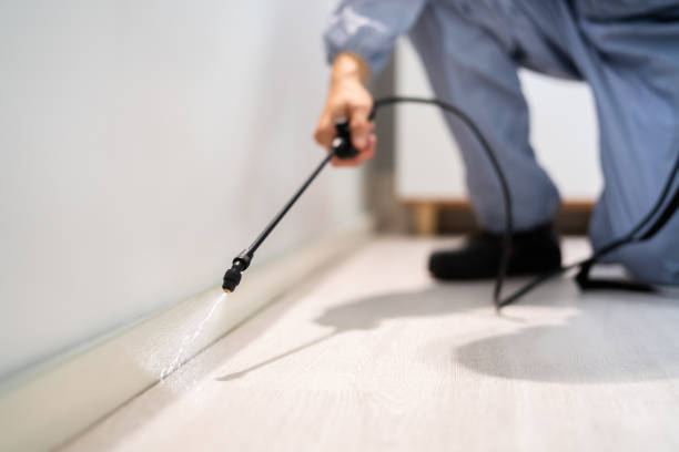 Licensed Termite Control service in Ball, LA - Nex Pest Control
