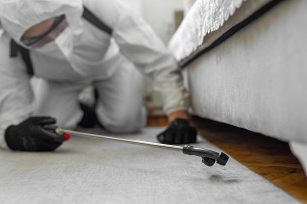 Professional Termite Control technician working in Ball, LA