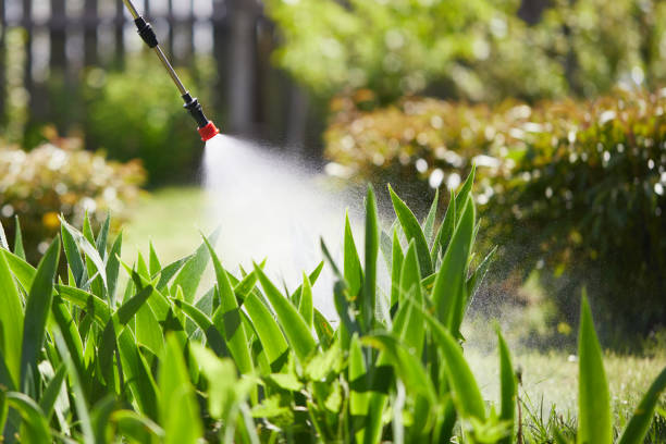 24/7 Emergency Termite Control experts in Ball, LA
