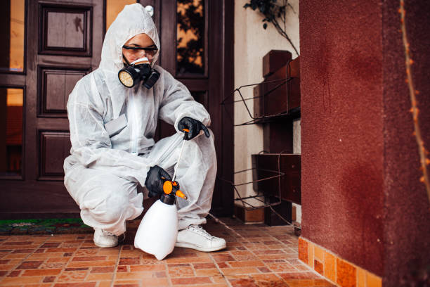 Reliable Termite Control contractor in Ball, LA by Nex Pest Control