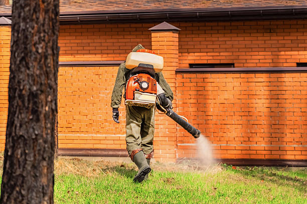 Top rated local Termite Control specialists in Ball, LA